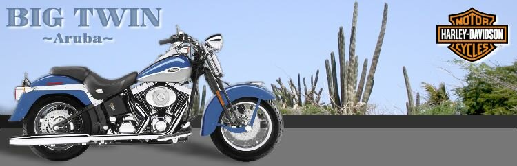 Aruba Harly Davidson Dealer Big Twin