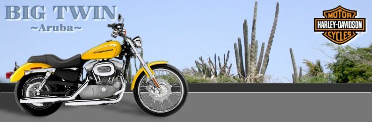 Harley-Davidson Sales